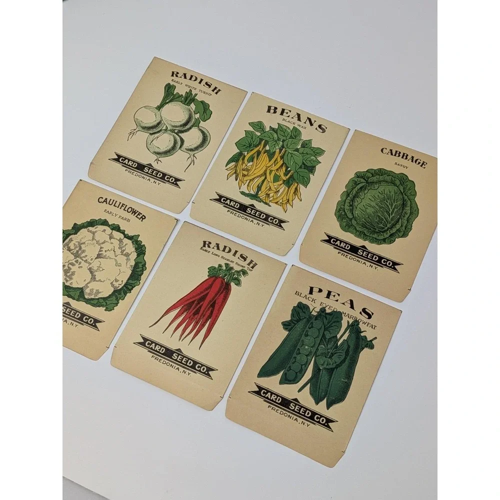 Lot of Six Card Seed Company Antique Seed Packets from Fredonia, N.Y. Farm Decor